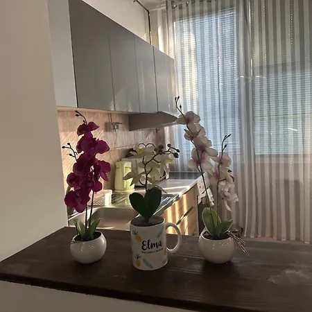 Elma Apartment